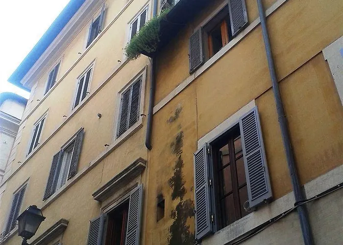 Floor Navona